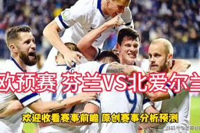 金年会体育-爱尔兰队世界排名