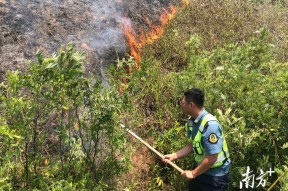 金年会体育-沃特福德胜出，临时救火瞬间完成(沃特福德vs布莱克本)