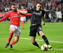 包含篮网内外线协同作战，球队整体表现出色的词条